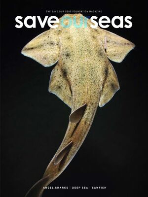 cover image of Save Our Seas